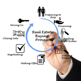 gallery/untitled design