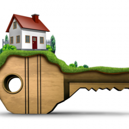 gallery/untitled design (2)